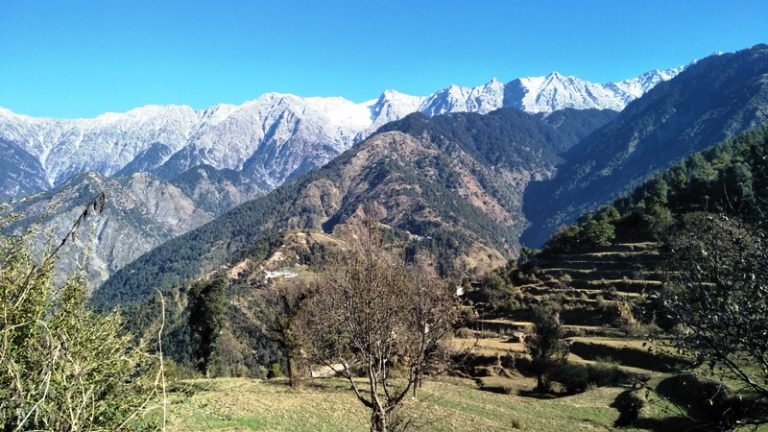 Naddi Village