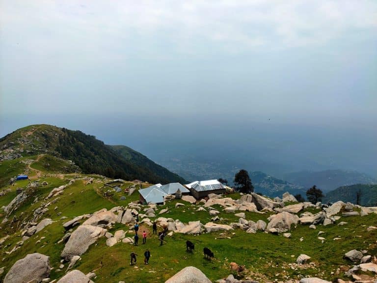 Triund Trek